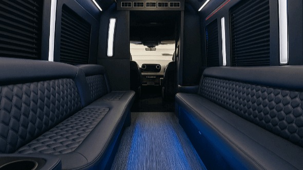 Interior of Queen Creek Party Bus Company's 20 Passenger Party Bus in Queen Creek